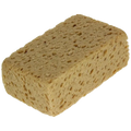 Brauner Schwamm - Sam